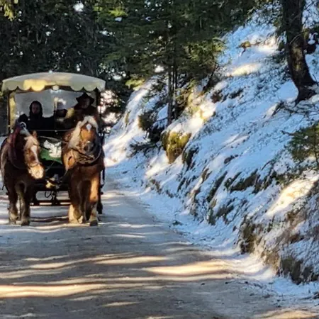 Appartement Pirker *